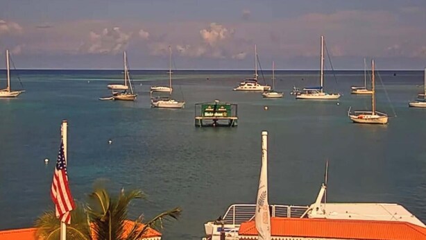 A marina with multiple sailboats and a few motorboats.