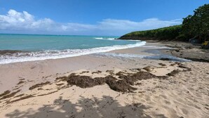 A sandy beach with gentle waves, a clear sky, and a forested area.
