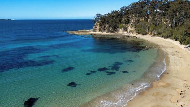 Una spiaggia con acque cristalline, una costa sabbiosa e una scogliera ricoperta di bosco.