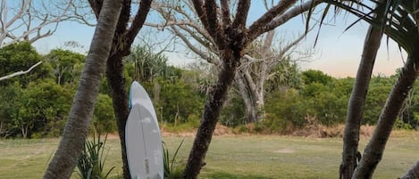 A white surfboard leaning against a tree in a grassy area with other trees and greenery in the background.