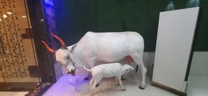 Miscellaneous - Hotel Radhakrishna (Neral)