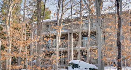 Close to Smuggs Lifts! Cozy Mountain-View Condo