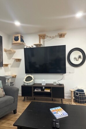 Smart TV, books - The Cat’s Meow, the ultimate 3-Bedroom cat-friendly getaway in Asheboro, NC! (Asheboro)