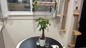 お食事
