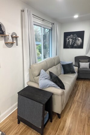 Smart TV, books - The Cat’s Meow, the ultimate 3-Bedroom cat-friendly getaway in Asheboro, NC! (Asheboro)