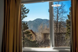 Interior - Epic Family Home: Mini-Golf, Sauna, Hot Tub, Games (Colorado Springs)