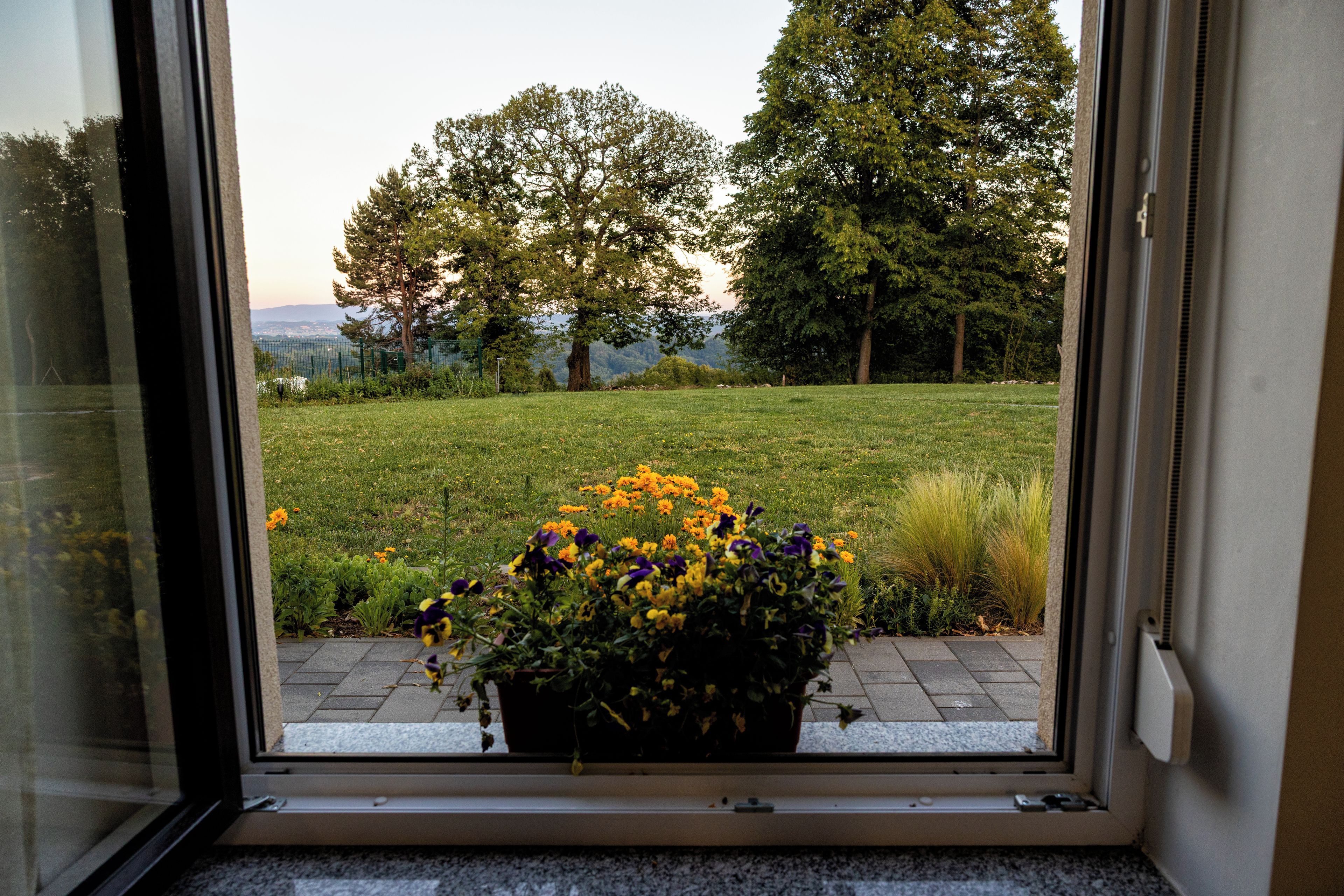 Una ventana con vista a un área verde y árboles.