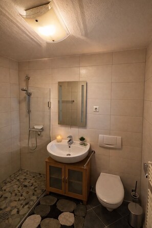 Dutxa i assecador de cabells 