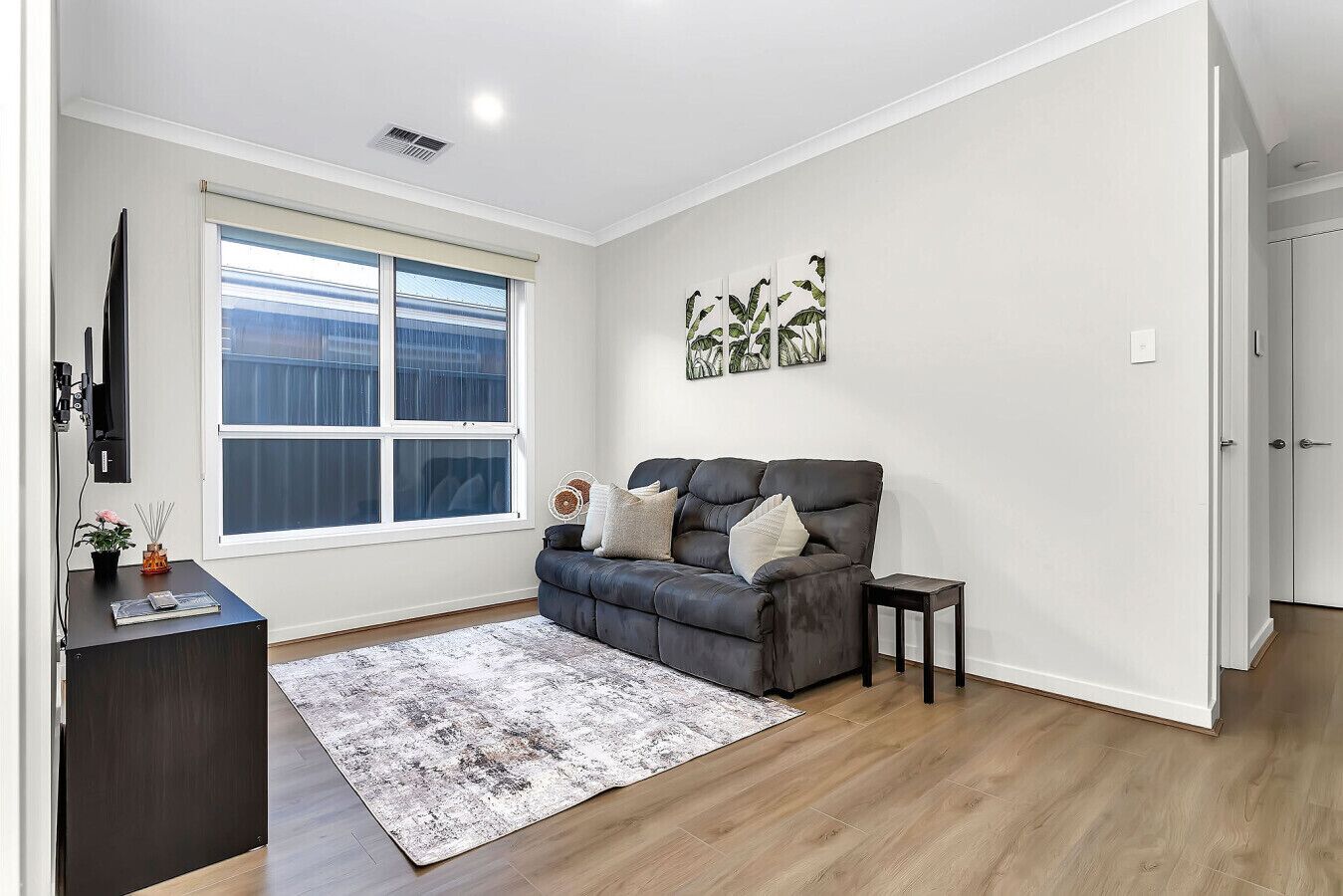 TV, computer monitors