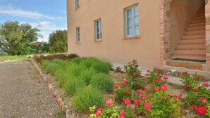 A building with a stone staircase leading to a door, surrounded by a garden with green shrubs and pink flowers. - Apartment Cipresso-Cignella Resort in Tuscany (Siena)