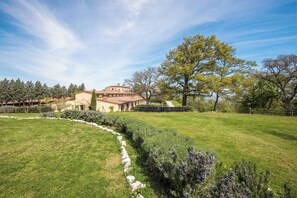 Property grounds - Apartment Olivo - 3 bedroom apartment in Tuscany (Trequanda)