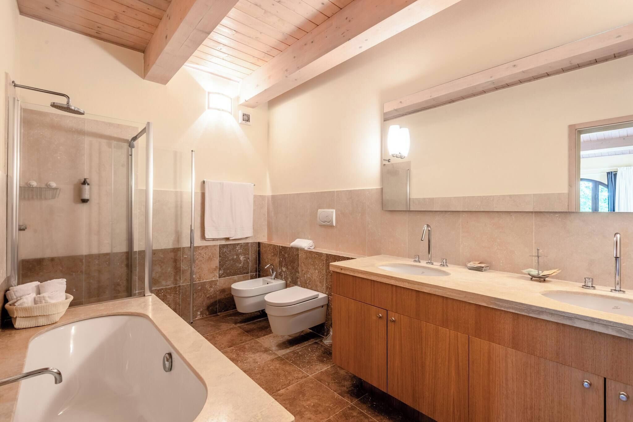 A modern bathroom with a bathtub, a shower, a toilet, and a vanity with a mirror.