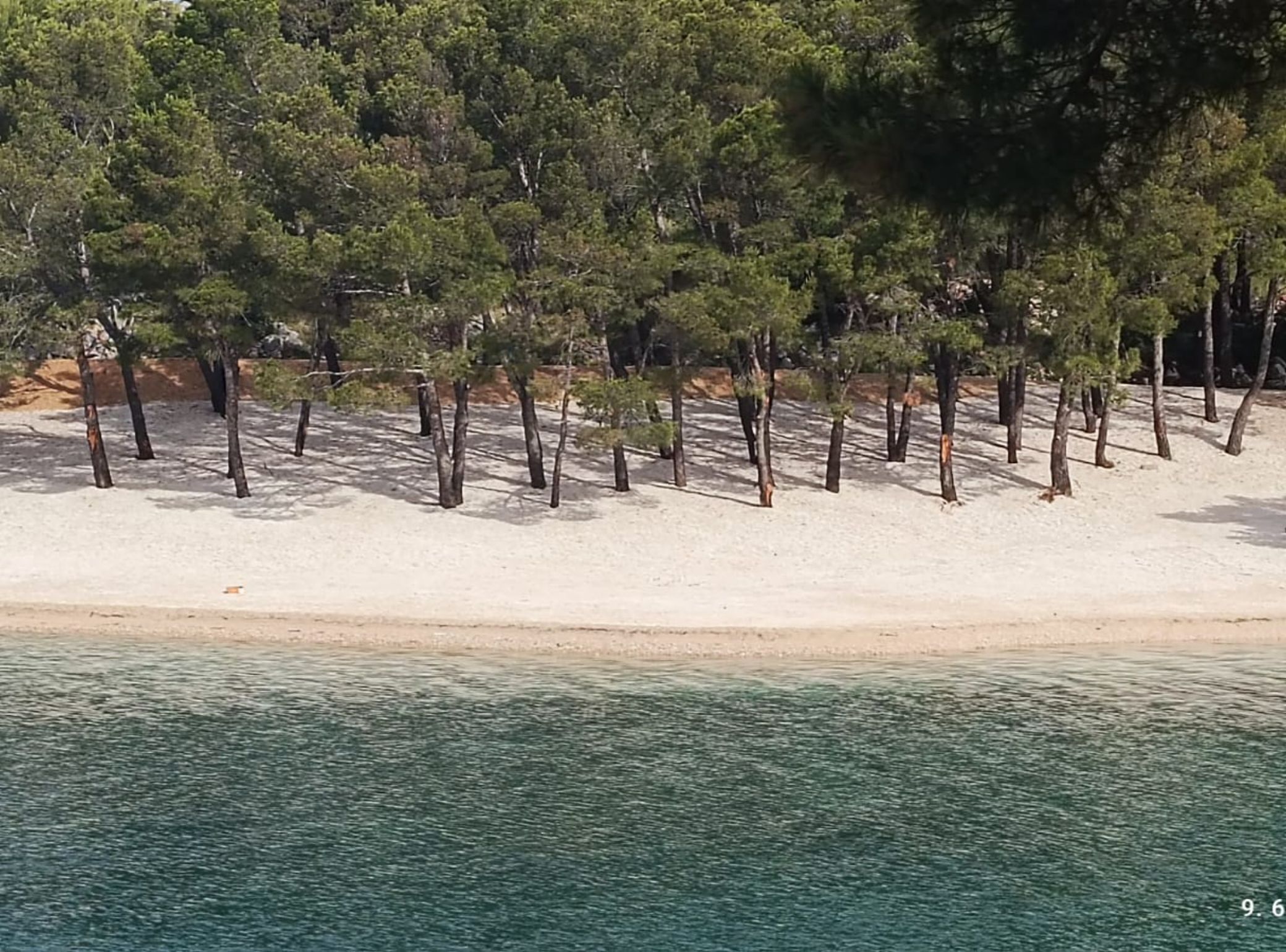 Una playa arenosa con árboles y un mar tranquilo.