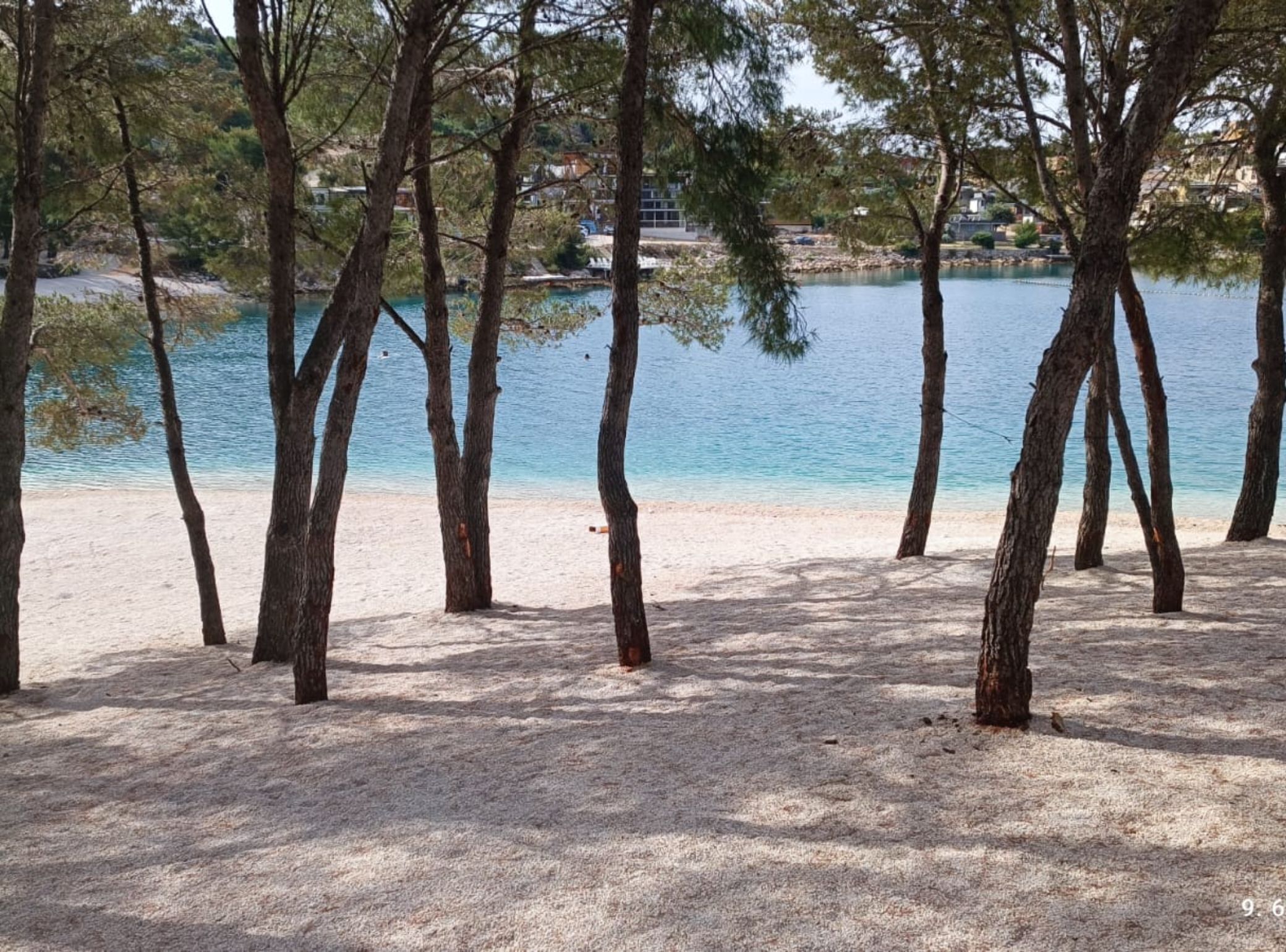 Una playa con árboles y un lago.