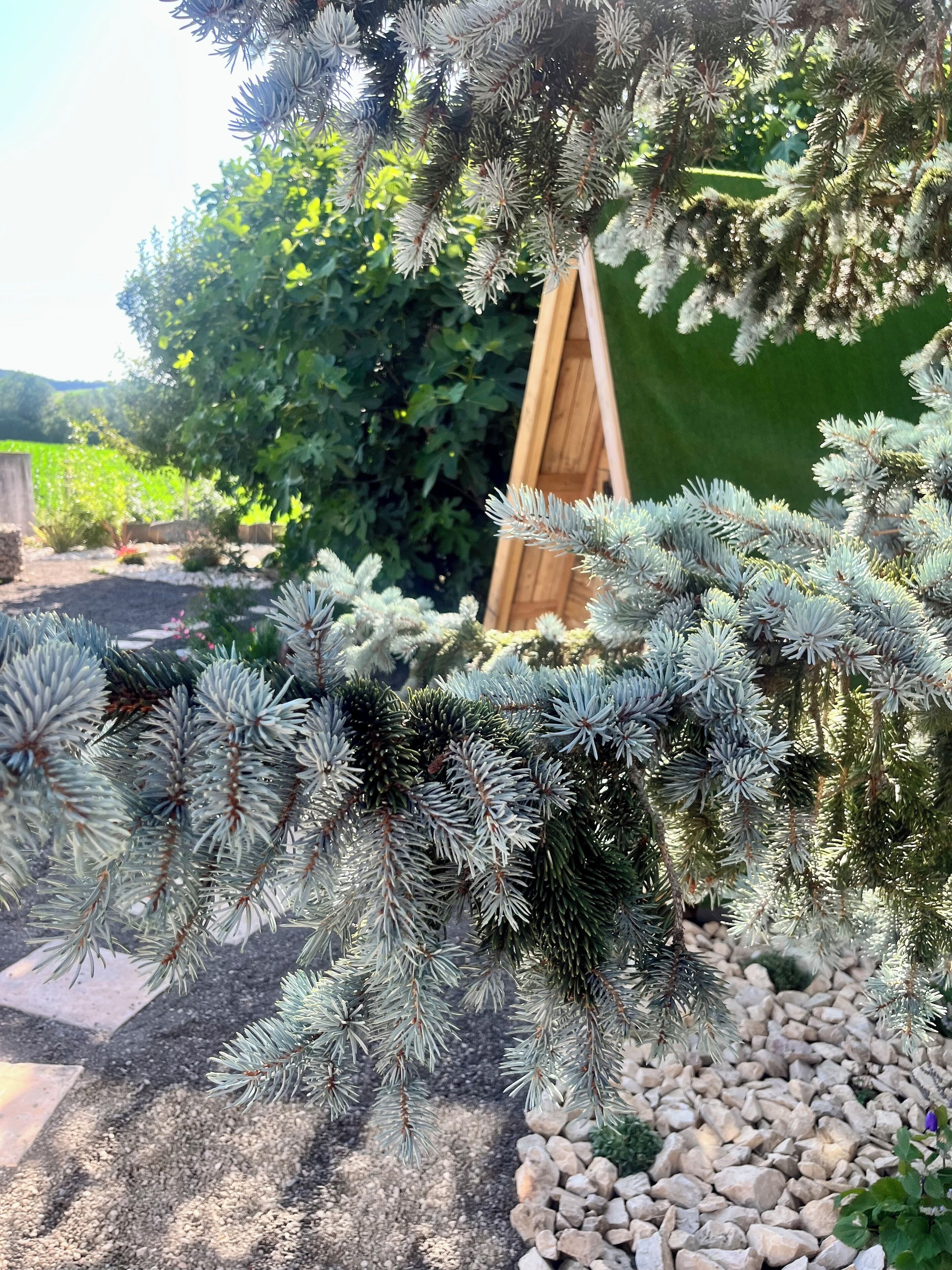 Terrein van de accommodatie