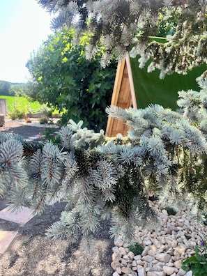 Enceinte de lâhĂ©bergement