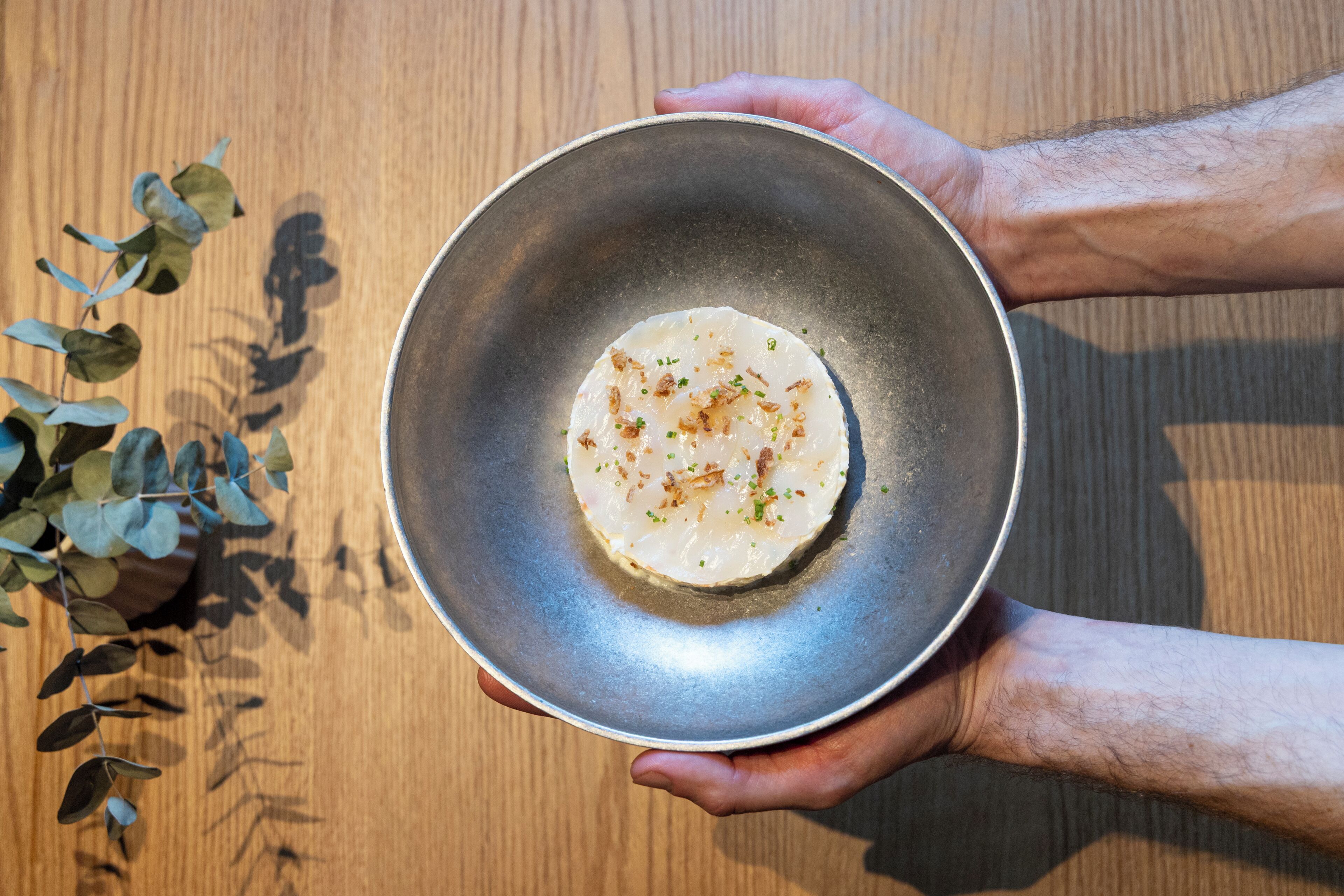 A person holding a metal bowl with a food item, a wooden table, and a plant with green leaves.