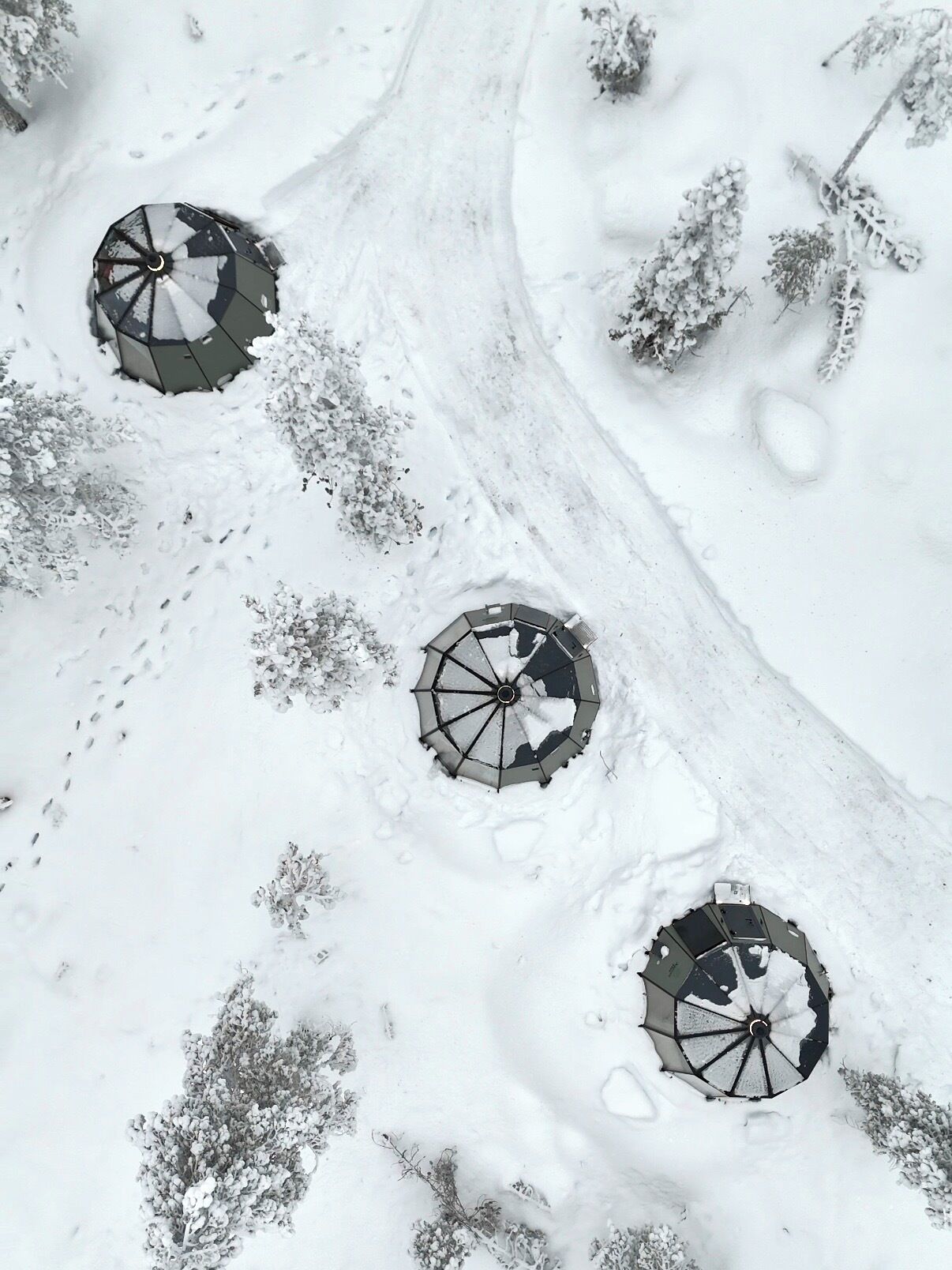 A snow-covered landscape with three umbrellas partially buried in the snow.