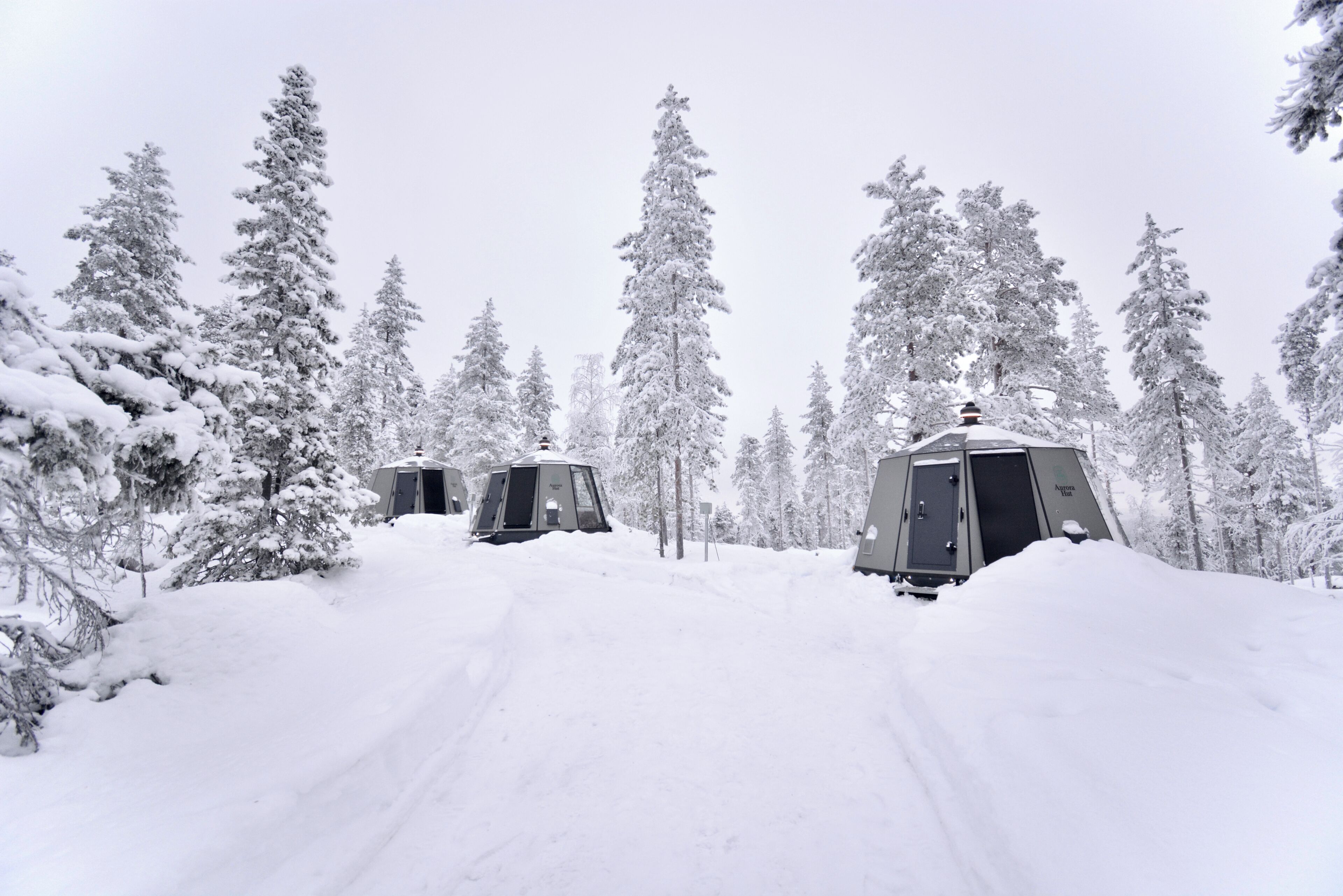 A snowy landscape with cabins and tall pine trees.