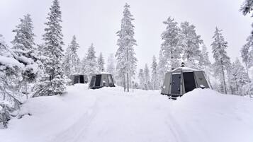 A snowy landscape with cabins and tall pine trees.