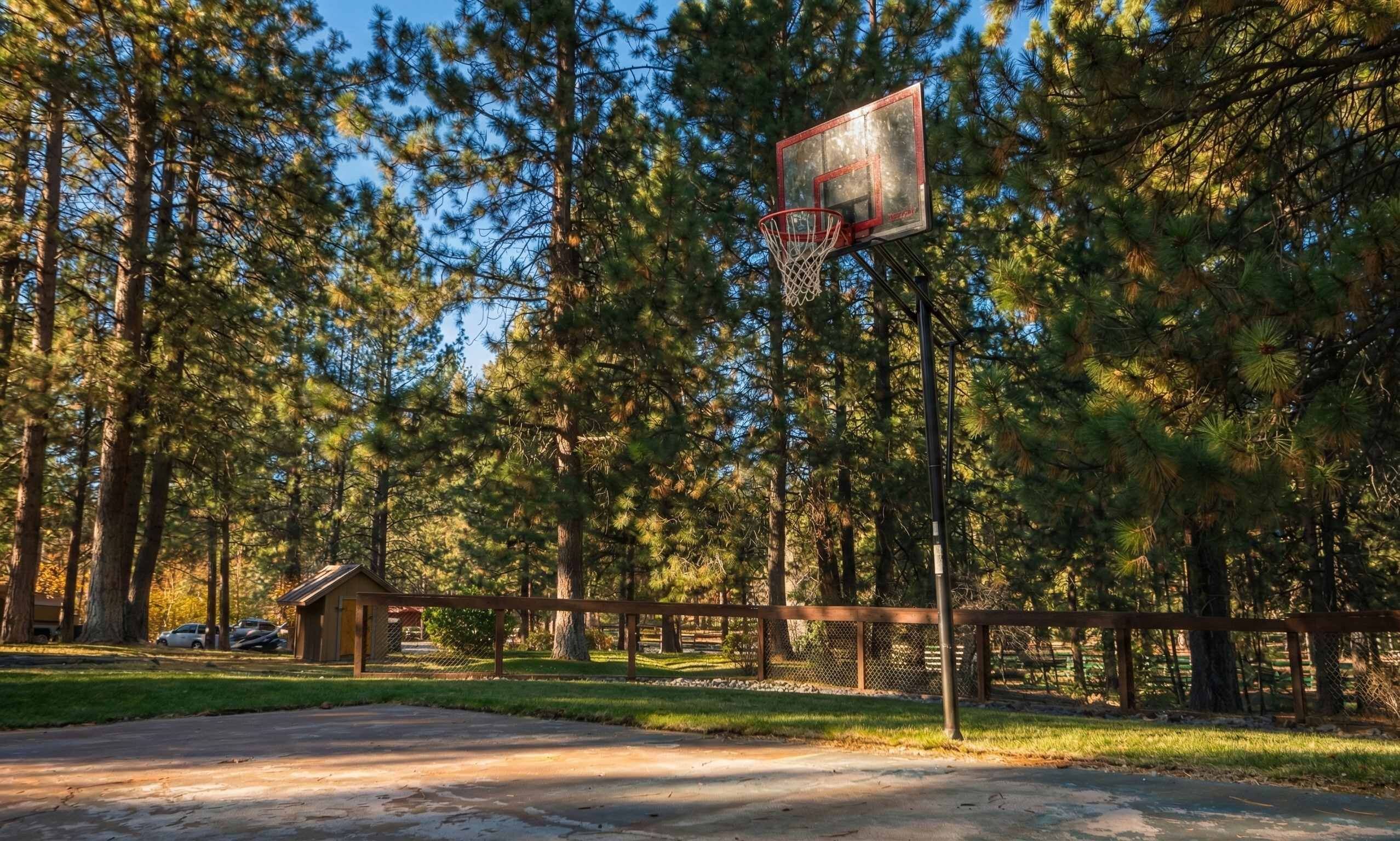 A basketball court with a hoop, surrounded by trees and a wooden fence.