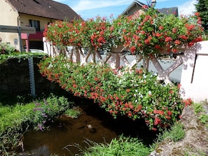Terrain de l’hébergement 