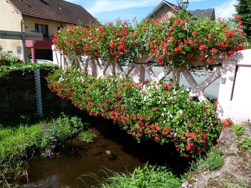 Gîte Les Mésanges