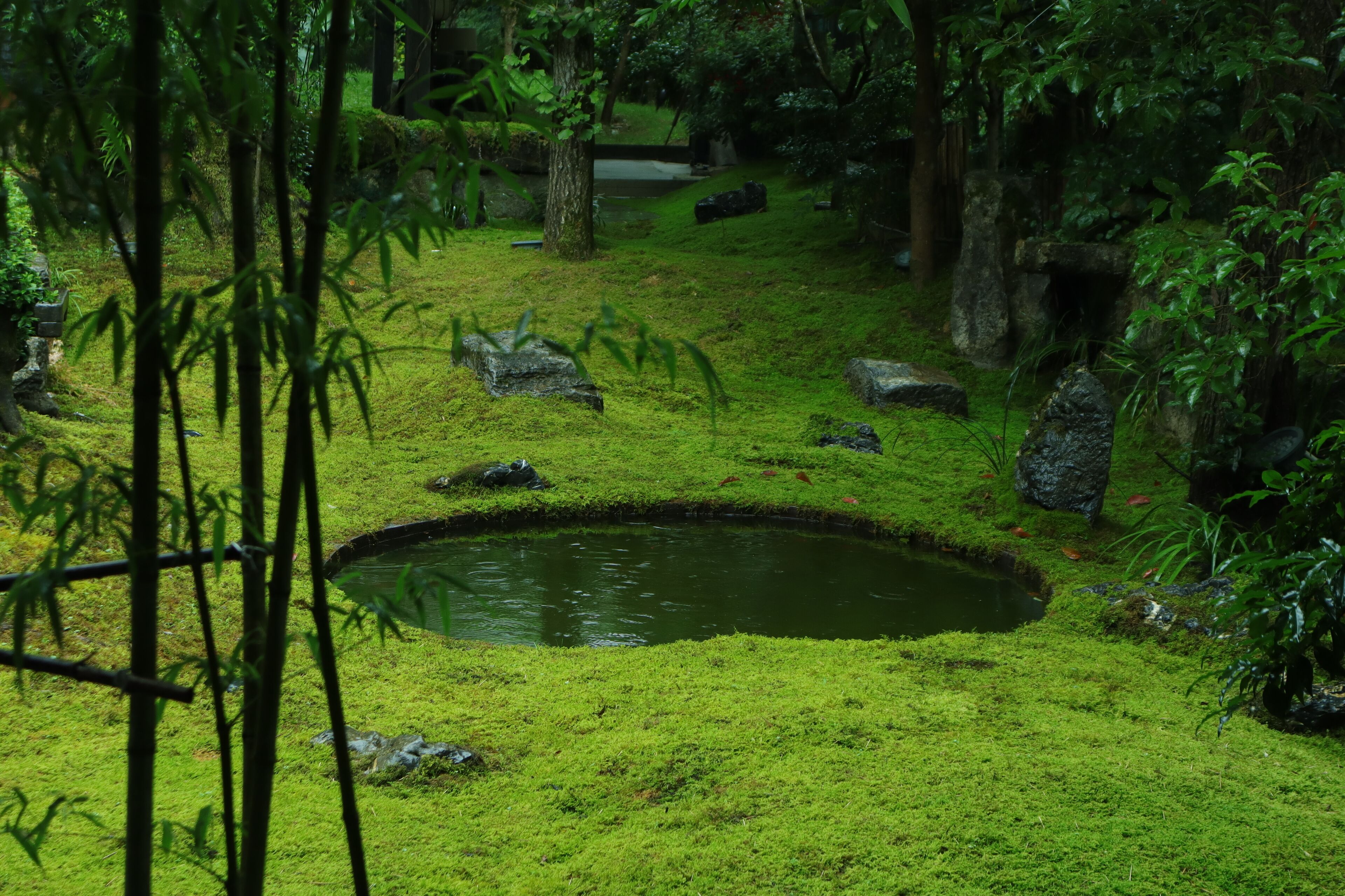 Jardines del alojamiento