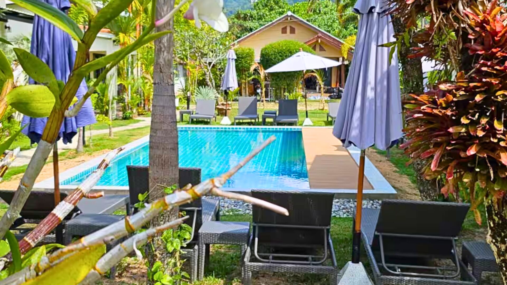 A poolside area with lounge chairs, umbrellas, and a house in the background.