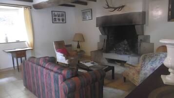 TV, fireplace, table tennis