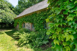 A stone building with ivy-covered walls, a grassy yard, and ferns.