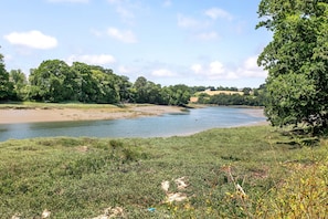 A river with a grassy bank, trees, and a distant hill.