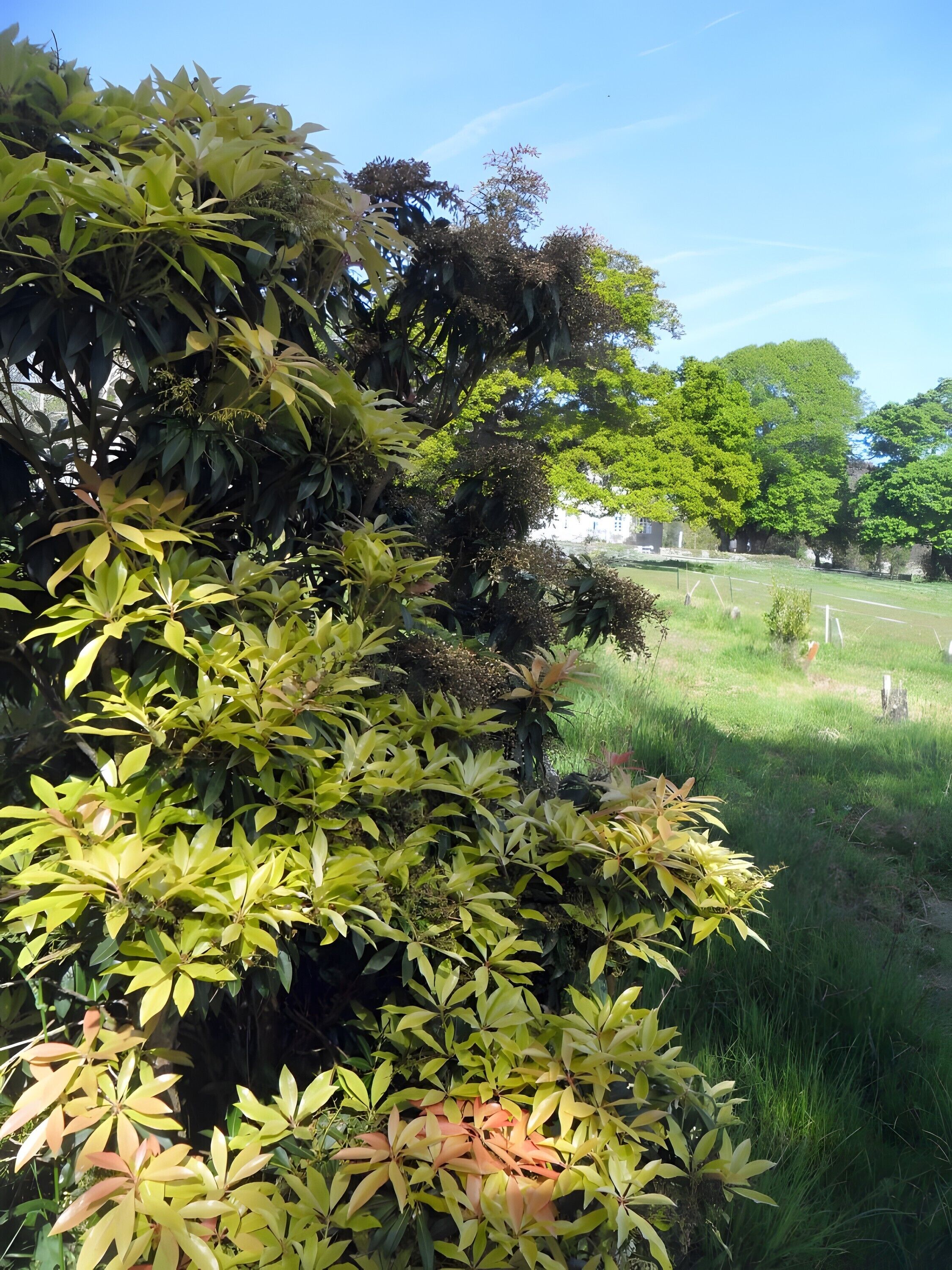 Áreas de la propiedad