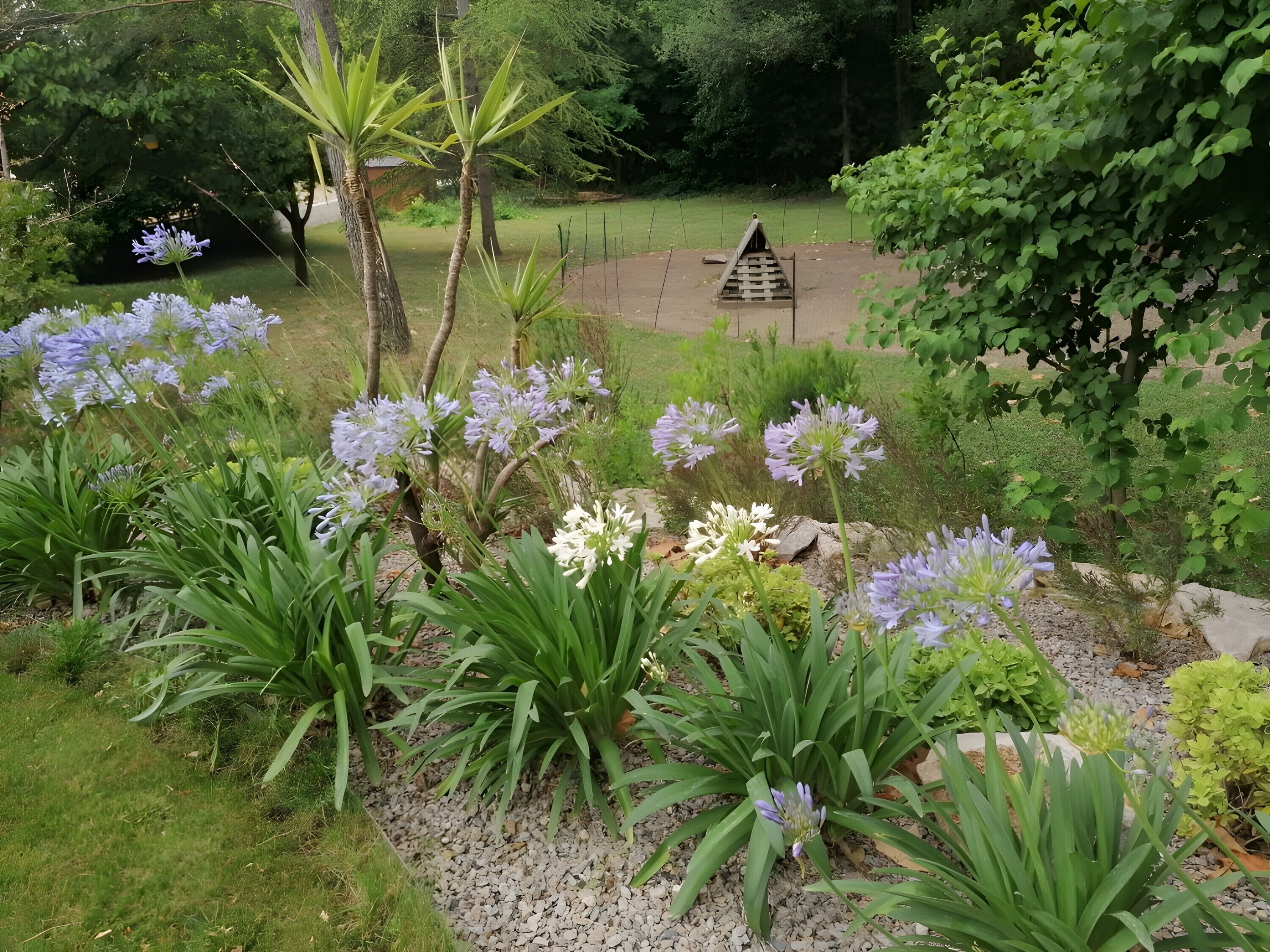 Enceinte de l’hébergement