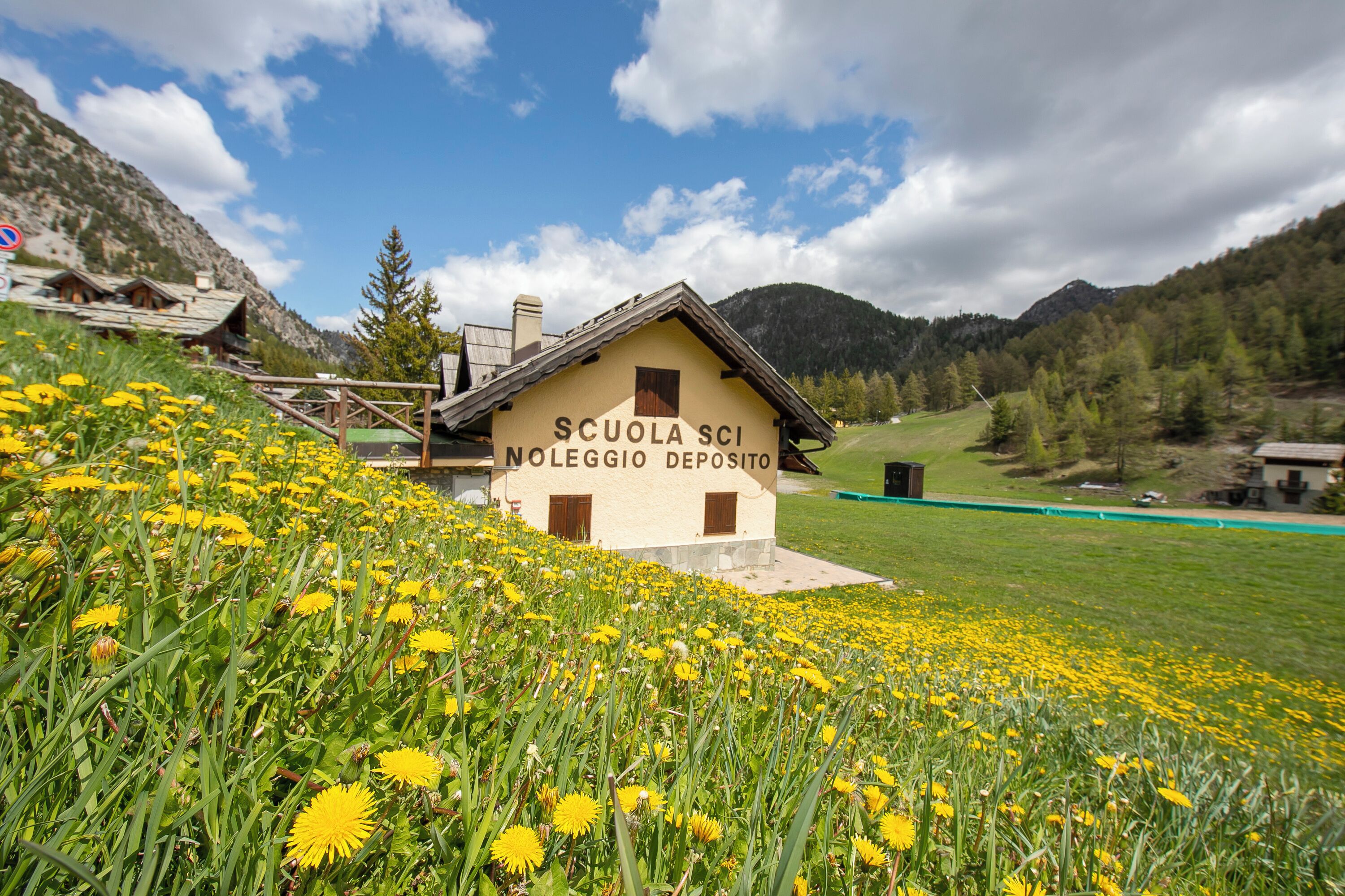Ein Gebäude mit der Aufschrift 'SCUOLA SCI Noleggio Deposito' vor einer Bergkulisse und einem Feld voller gelber Blumen im Vordergrund.