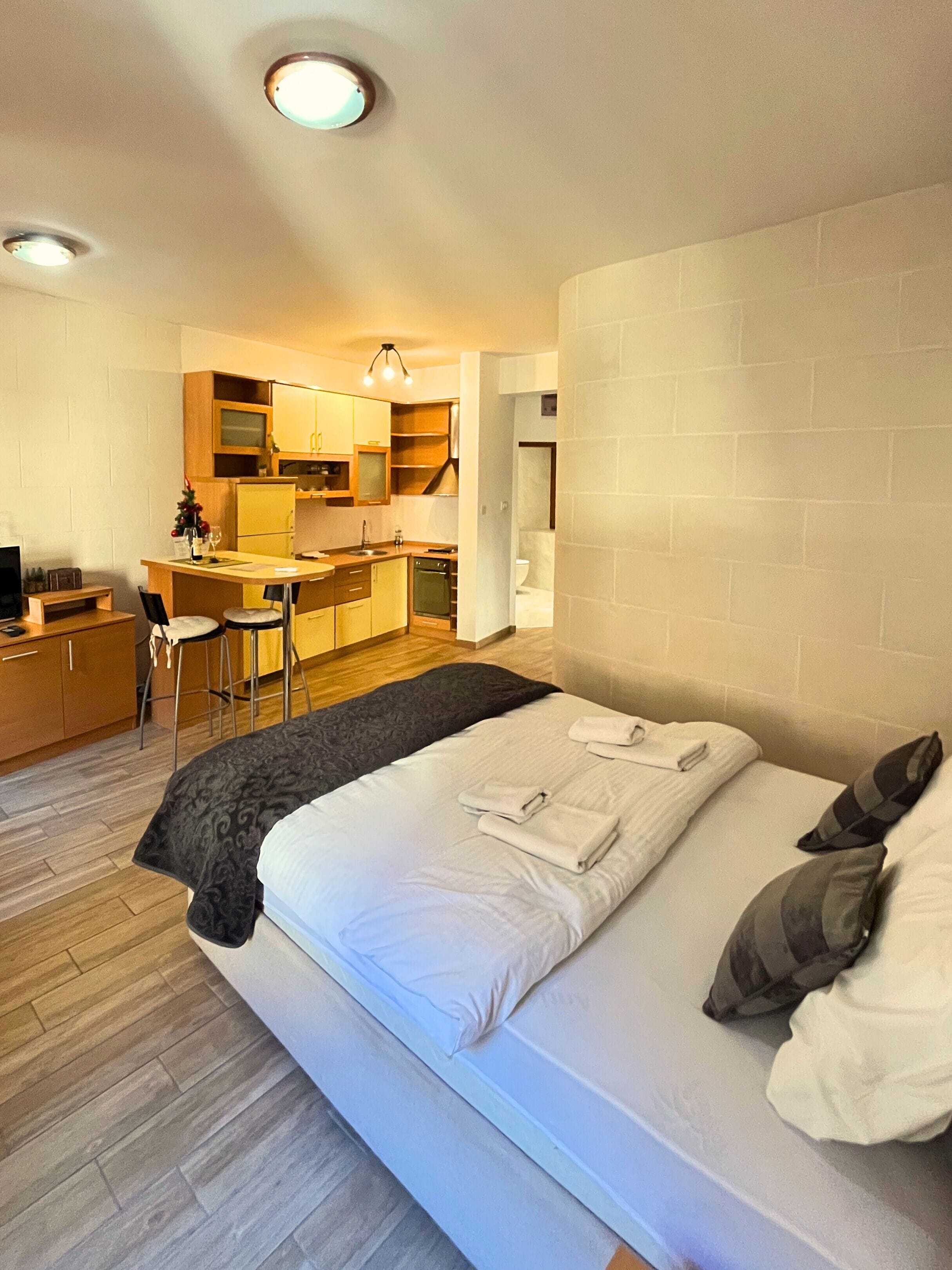 Apartment, City View | Iron/ironing board, free WiFi