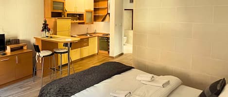 Apartment, City View | Iron/ironing board, free WiFi