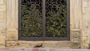 A wrought iron gate with intricate designs, set within a stone wall with decorative elements. - Step to Kotor Bay Old Town (Kotor)