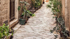 A narrow cobblestone alley with potted plants lining the sides of buildings. - Step to Kotor Bay Old Town (Kotor)