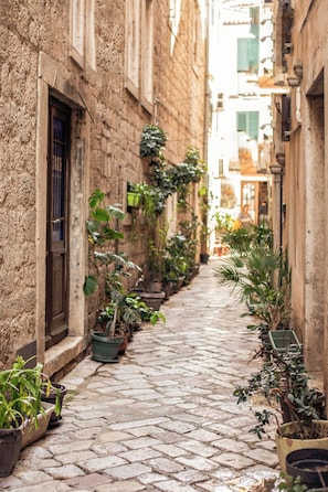 A narrow cobblestone alley with potted plants lining the sides of buildings. - Step to Kotor Bay Old Town (Kotor)
