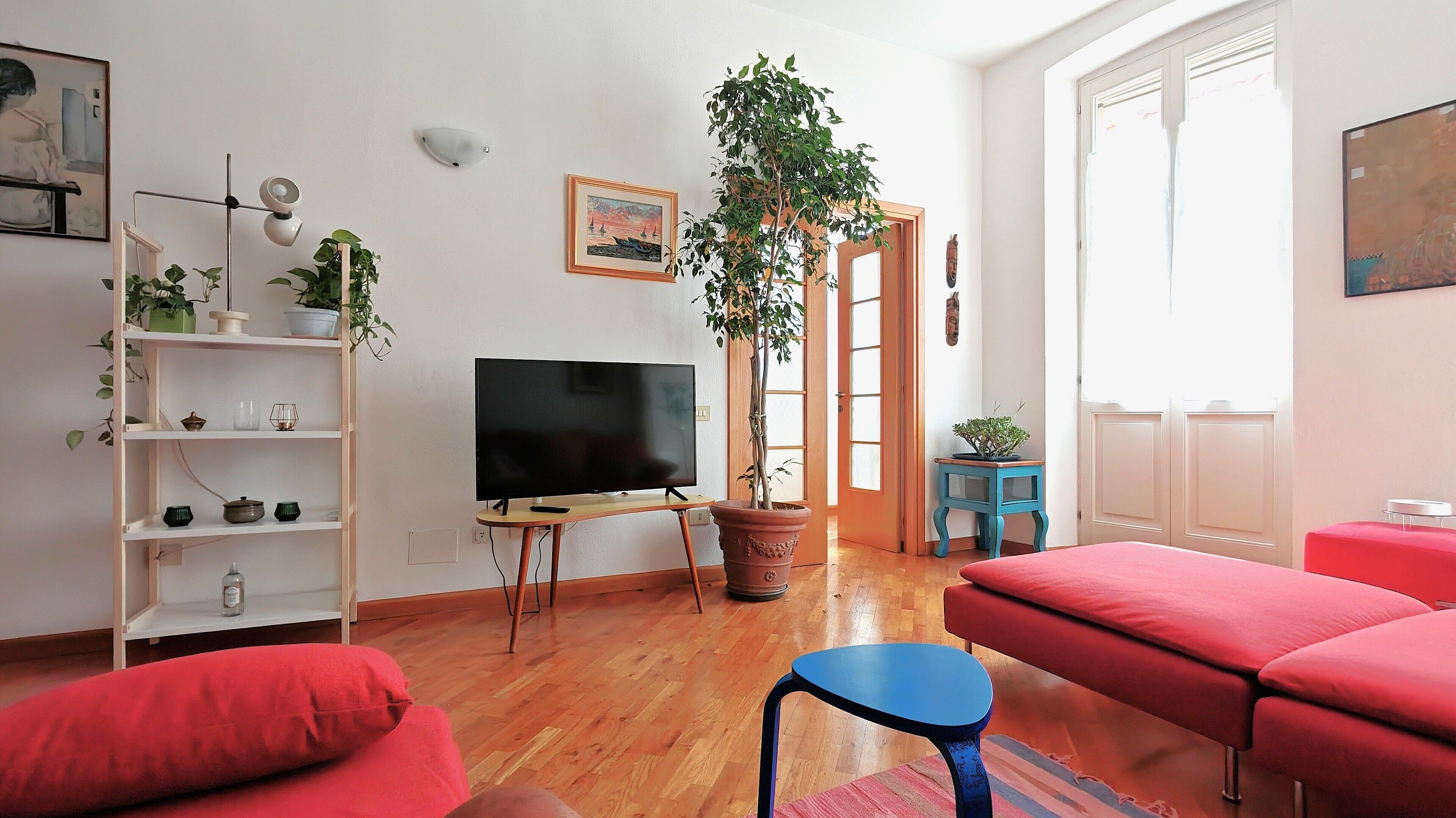Una sala de estar con televisor, sofás rojos, una butaca azul y plantas en macetas.