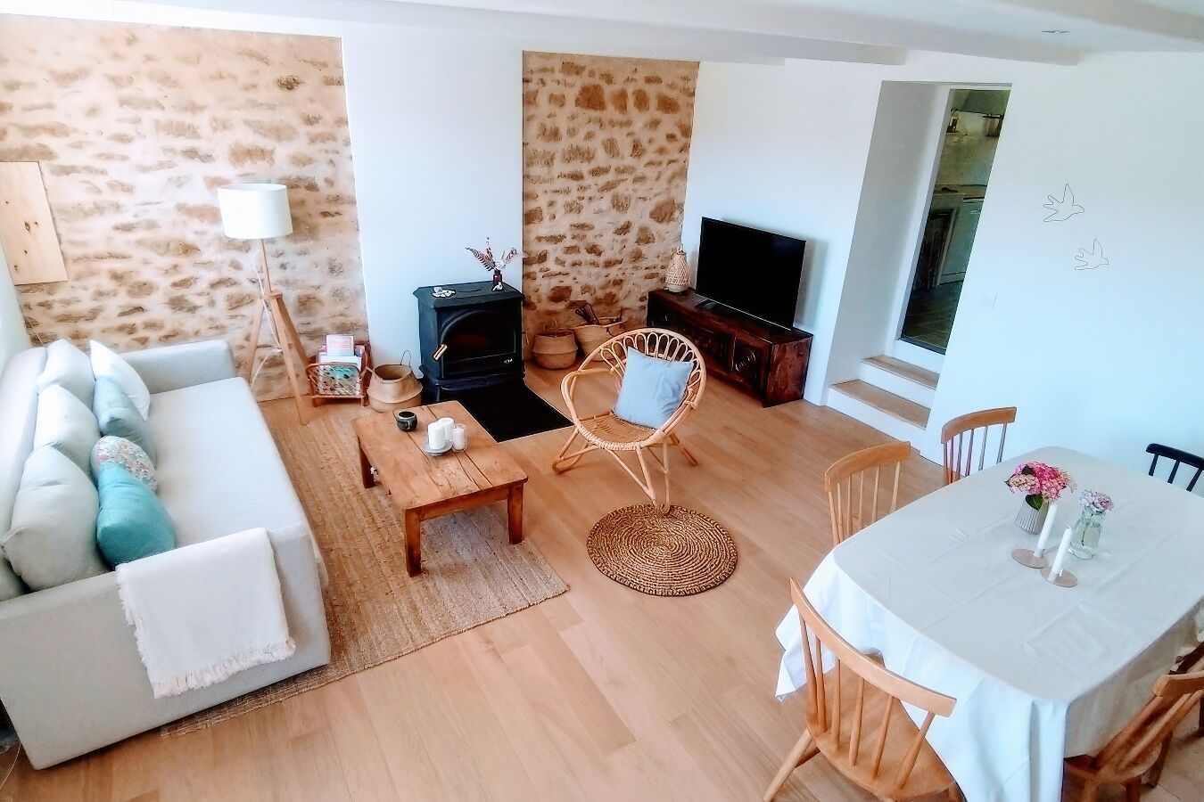 Smart-TV, Kamin