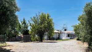 Una casa con camino de grava, un muro de piedra y un árbol grande en la parte delantera.