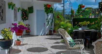 Room-royal Terrace Queen 1