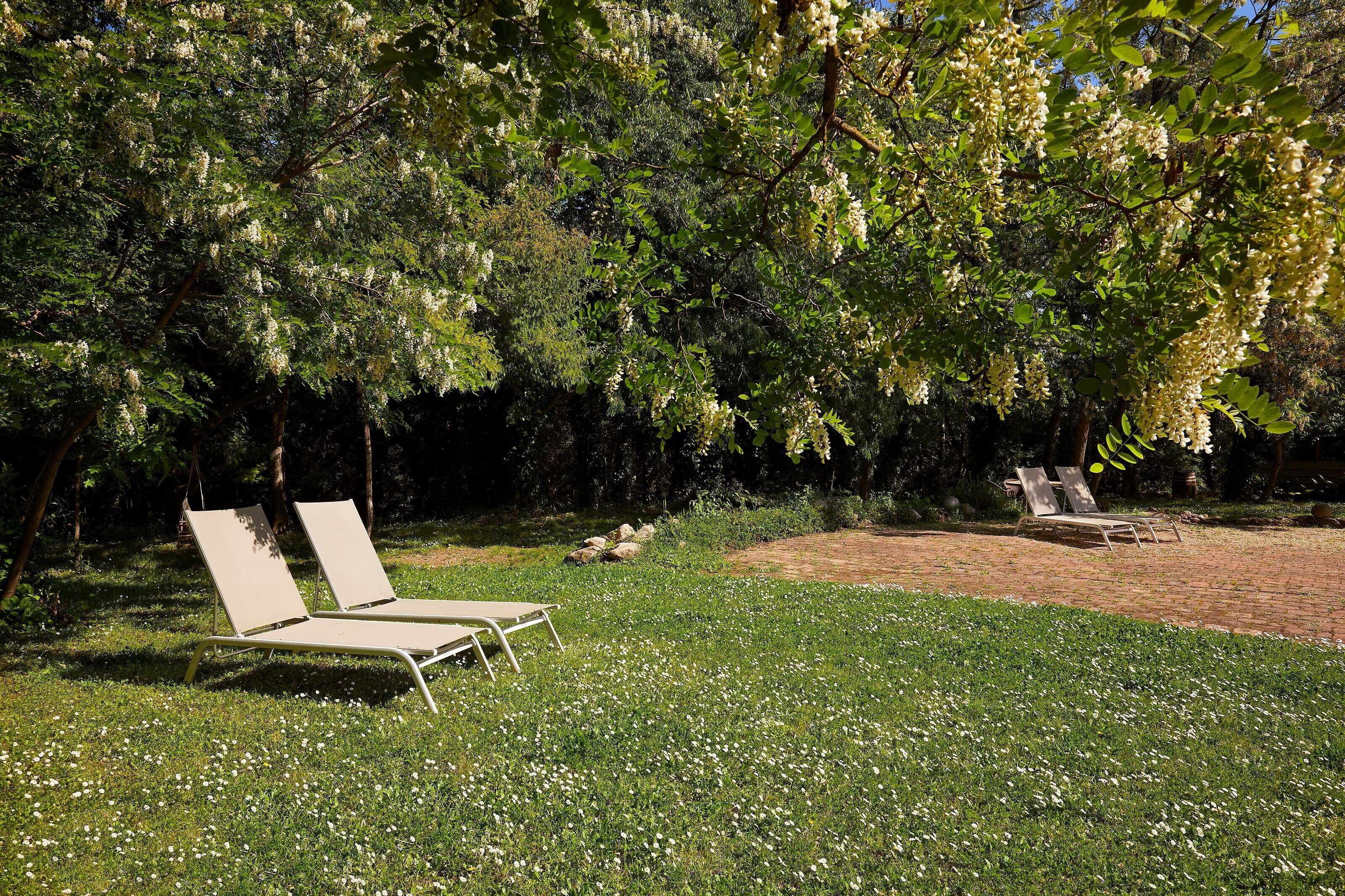 A garden with two white lounge chairs and a brick pathway.