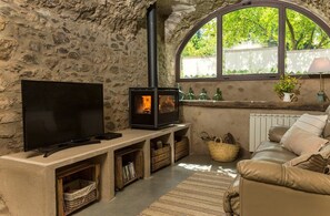 Televisión, chimenea y reproductor de DVD 