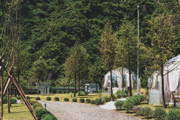 Jardines del alojamiento