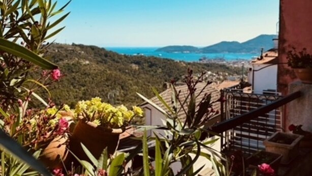 A balcony with potted plants and a view of a coastal landscape. - In the typical Ligurian village beautiful apartment with sea view (Valeriano)