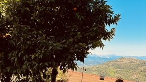 A patio with a table and chairs, a tree with oranges, and a view of distant hills. - In the typical Ligurian village beautiful apartment with sea view (Valeriano)