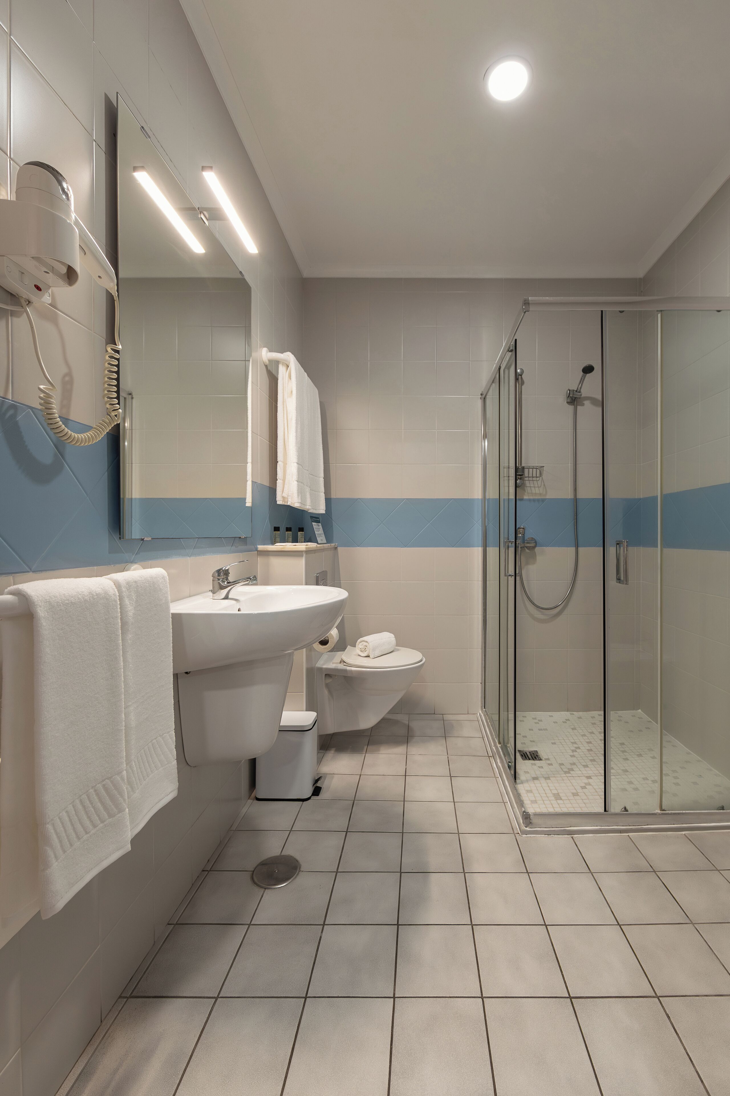 Hair dryer, towels, soap, shampoo